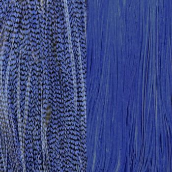 Duo Plumes Royal Blue