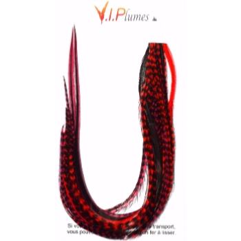 Pack Mix 25 Plumes Lady In Red