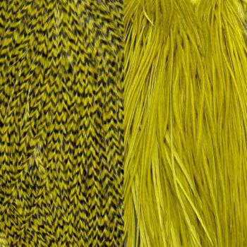 Duo Plumes New Olive