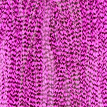 Plume Striée Pink Taille XXXL