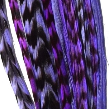 Mix 10 Plumes Purple