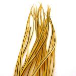 Plume Badger Golden Straw