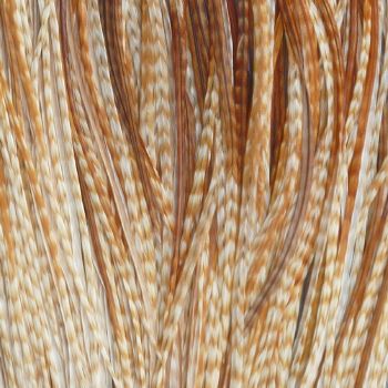 Plume Striée Ginger Medium Taille XXXL