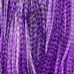 Plume Striée Purple Taille XXXL