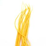 Plume Unie Golden Straw