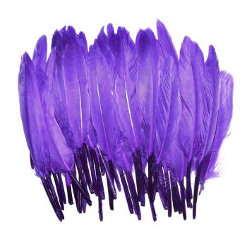 Lot de 50 Plumes à Chignon: Purple