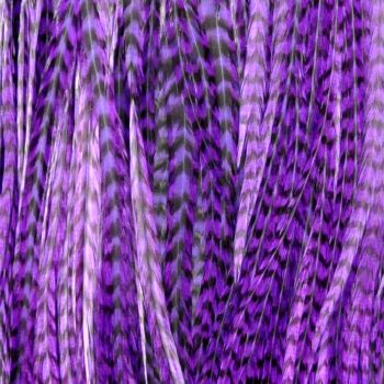 Plume Striée Purple Taille XXXL
