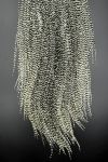Plume Striée Black&White Taille XXXL