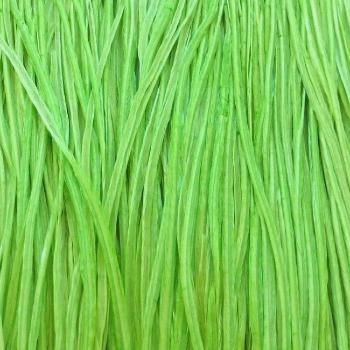 Plume Unie Mint