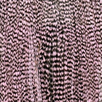 Plume Striée Shell Pink Taille XXXL