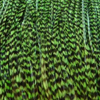 Plume Striée Mint