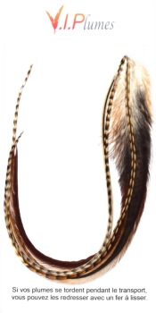 Mix 5 Plumes Terre de Sienne
