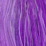 Plume Unie Purple Taille XXXL