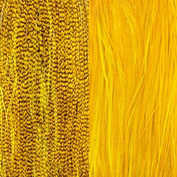 Duo Plumes Copper