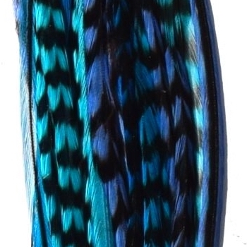 Mix 10 Plumes Blue