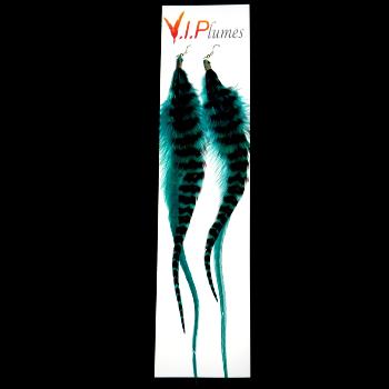 Boucles d'Oreilles Teal
