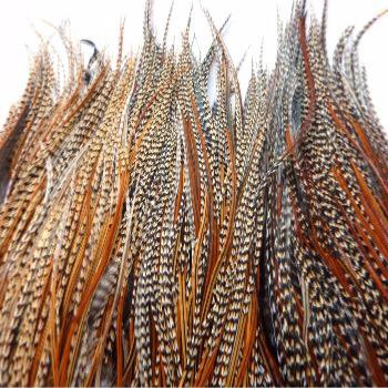 Plume Striée Cree