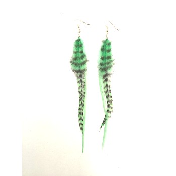 Boucles d'Oreilles Mint