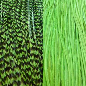 Duo Plumes Mint