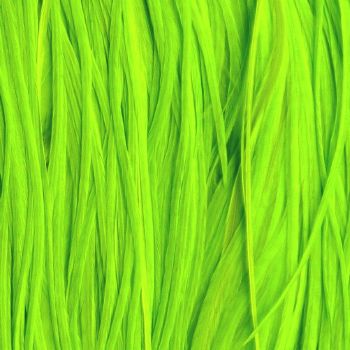 Plume Unie Fluo Green