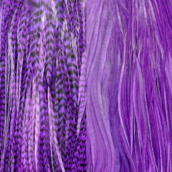 Duo Plumes Purple