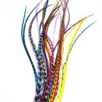Pack Mix 25 Plumes Tutti Frutti