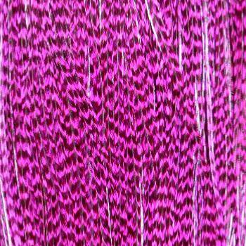 Plume Striée Magenta